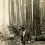 [U.S. Forest Service], An archive with over 150 photographs which focus on wildfire prevention, land management, and forestry reclamation practices...