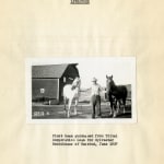 Ed Ruscha, (Ed - Werd Rew - Shay) Young Artist, 1972