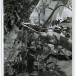 Yukio Futagawa, Six Views of Frank Lloyd Wright Architecture, 1980s