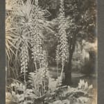 [New Age], Large Collection of Printed Matter Related to Numerous Mystical, Metaphysical and Spiritualist Groups in the Midwest and Elsewhere,...