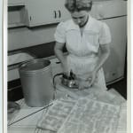 Yukio Futagawa, Six Views of Frank Lloyd Wright Architecture, 1980s