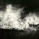 [U.S. Forest Service], An archive with over 150 photographs which focus on wildfire prevention, land management, and forestry reclamation practices...