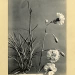 Margaret Florence Harker, The Shape of Things which Come, 1944