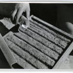 Yukio Futagawa, Six Views of Frank Lloyd Wright Architecture, 1980s