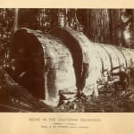 [New Age], Large Collection of Printed Matter Related to Numerous Mystical, Metaphysical and Spiritualist Groups in the Midwest and Elsewhere,...