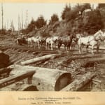 [New Age], Large Collection of Printed Matter Related to Numerous Mystical, Metaphysical and Spiritualist Groups in the Midwest and Elsewhere,...