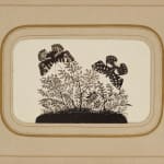 Ed Ruscha, (Ed - Werd Rew - Shay) Young Artist, 1972