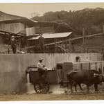 Yukio Futagawa, Six Views of Frank Lloyd Wright Architecture, 1980s