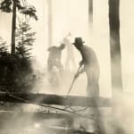 [U.S. Forest Service], An archive with over 150 photographs which focus on wildfire prevention, land management, and forestry reclamation practices...
