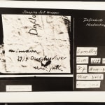 [Rodney King], Dramatic Aerial Views of the Los Angeles Uprising, 1992