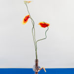 Gillian Brett, Bromus Driandus, 2022