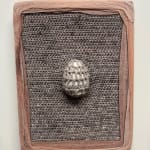 Ophelia Arc, Prey & predator, 2025