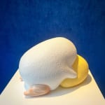 Kanako Ozawa, The Twilight Of Joy, 2025