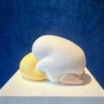 Kanako Ozawa, The Twilight Of Joy, 2025