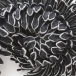 Kristy Kún, Contumacious, 2017