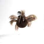 Karamajong Headdress, Uganda