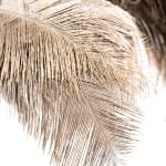 Karamajong Headdress, Uganda