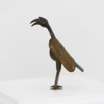 Fon bird