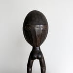 Dan Spoon