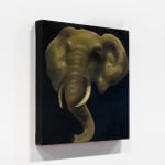 Dou Wei, Limerence, 2023