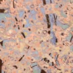 Tuan Vu, Sous les ombrages, 2024