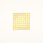 Scott Kilgour Durham Press D/21F Illuminations Etching Edition Portfolio Print