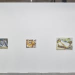 Wieske Wester, Bananas #2, 2023
