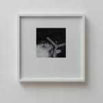Jennifer Bornstein, 16mm Film Slug, 2016