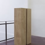 David Maljkovic, Untitled, 2012