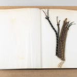 Marianne Berenhaut, Carnets-Collages, from 1997 until now, 2022