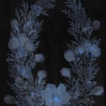 Dor Guez, Lilies of the field #1, Jerusalem, Church of the Sepulchre, 2019