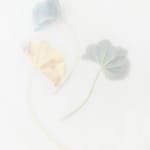 Dor Guez, Lilies of the Field #4, Jerusalem, Rachel's tomb, 2020