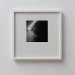 Jennifer Bornstein, 16mm Film Slug, 2016