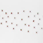 Jonathan Monk, Still Life XV, 2011