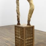 Latifa Echakhch, Farmer Sorrow (P.E), 2012