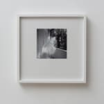Jennifer Bornstein, 16mm Film Slug, 2016