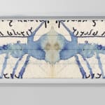 Dor Guez, Letters from the Greater Maghreb #1 (8), 2021