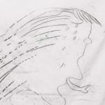 Aysha E Arar, Then the birds replaced their chirping with squawking, or how they could sing, and every minute a...