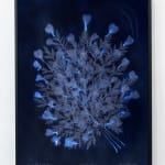 Dor Guez, Lilies of the Field #4, Jerusalem, Rachel's tomb, 2020