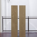 David Maljkovic, Untitled, 2012