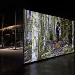 張碩尹 Chang TingTong, 南冥有鳥，其名為鵬 Peng's Journey to the Southern Darkness, 2016