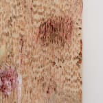 Ichi Tashiro, 無題 Untitled, 2025