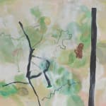 林亦軒 Lin YiHsuan, Picture place Brazil, Argentina, Honduras, 2013