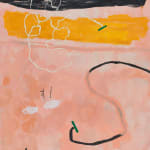 林亦軒 Lin YiHsuan, Picture place Brazil, Argentina, Honduras, 2013
