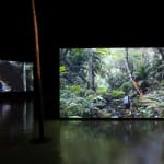 張碩尹 Chang TingTong, 南冥有鳥，其名為鵬 Peng's Journey to the Southern Darkness, 2016