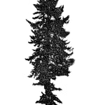 Tree 39