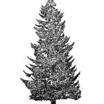 Tree 8