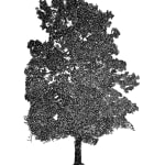 Tree 32