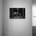 Marc Lagrange, Two Girls Hanging, 1994