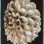 Jan C. Schlegel, Snake 6, 2020